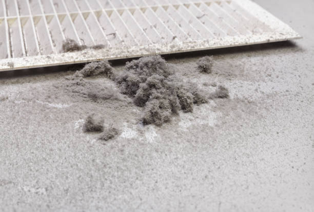 Best Residential Air Duct Cleaning  in Web, AL