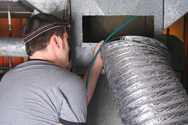 Best Ductwork Cleaning Services  in Web, AL