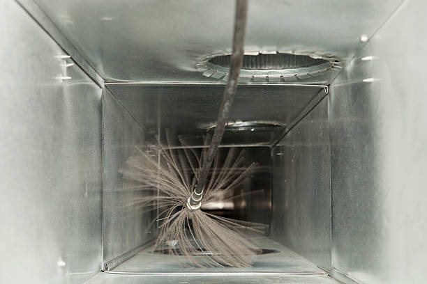 Best Affordable Air Duct Cleaning  in Web, AL