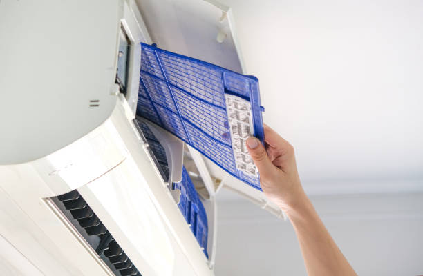 Best Ventilation Cleaning Services  in Web, AL