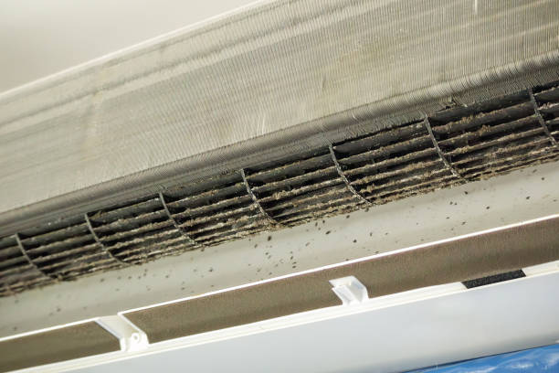 Best HVAC Duct Inspection Services  in Web, AL