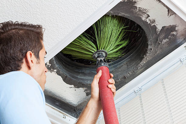 Best Air Duct Cleaning Near Me  in Web, AL